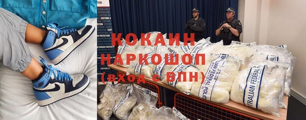 эйфоретик Бородино