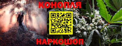 гидра Лесосибирск