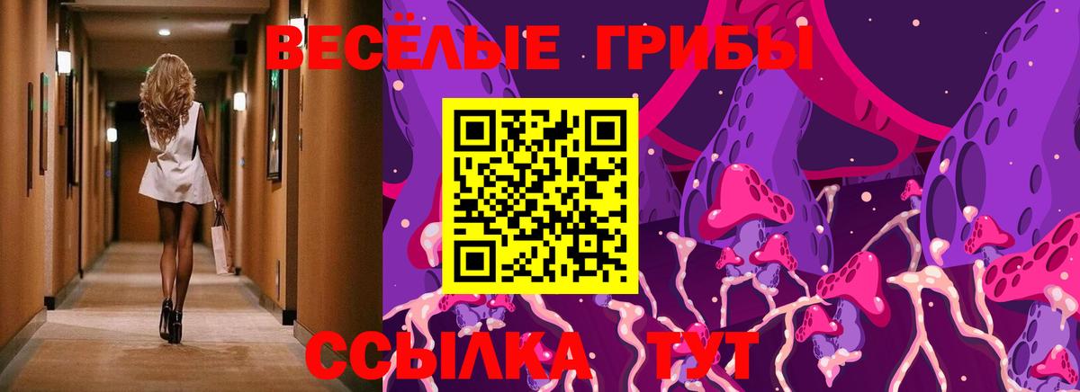 наркотики  Вход с VPN  Бугуруслан  Псилоцибиновые грибы ЛСД 